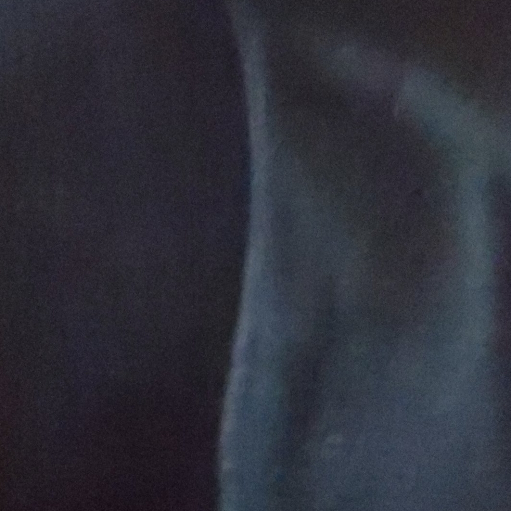 Levi pants